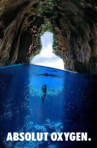 פוסטר אאבסולוט