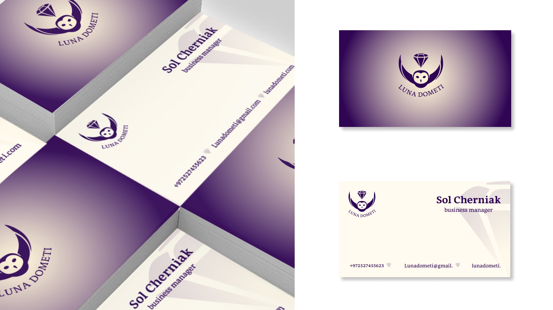 __צילום מסך_26-11-2024_04741_